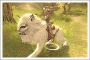 PvPだけじゃない!騎乗だって料理だって出来る