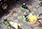 DarkQuest4 C[W