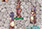 OiNIC Mobile Story C[W